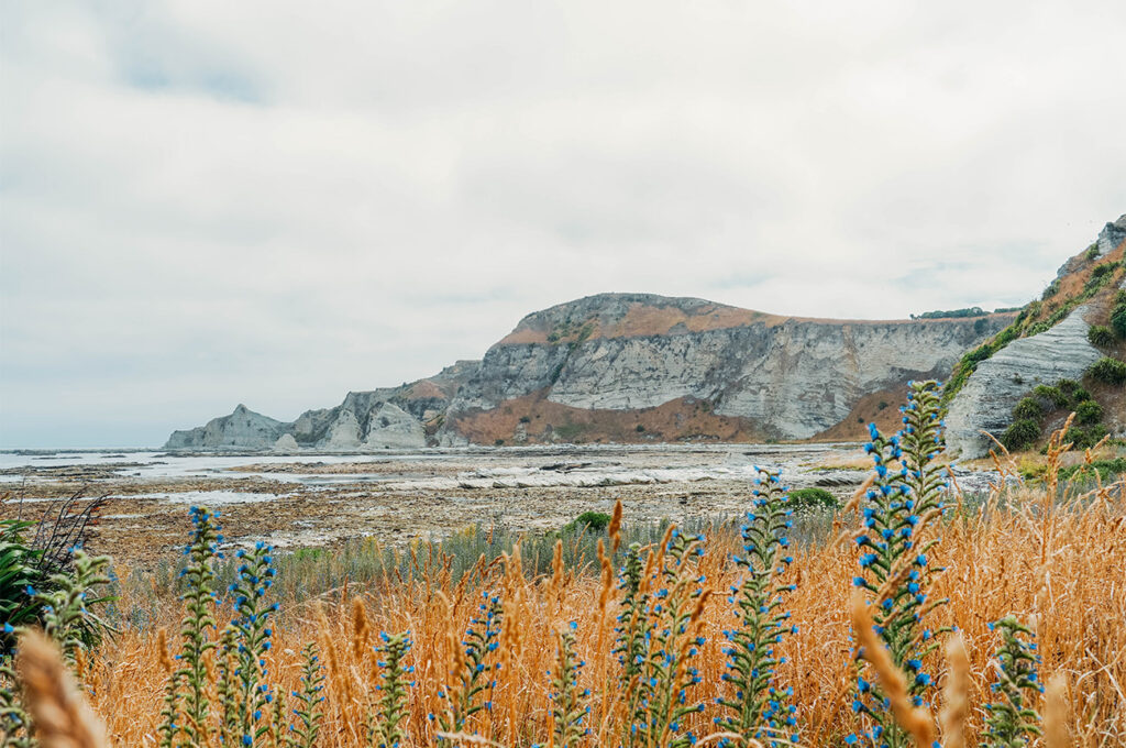 Kaikōra, sa ville et sa péninsule