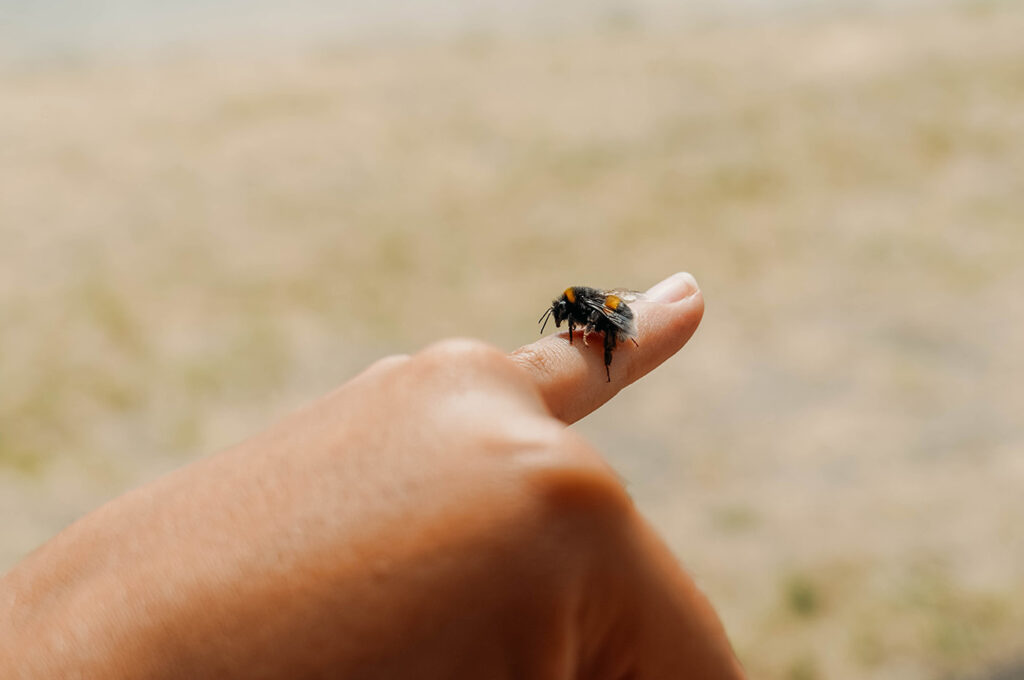 Jour 18 : On en a eu marre des journées libres