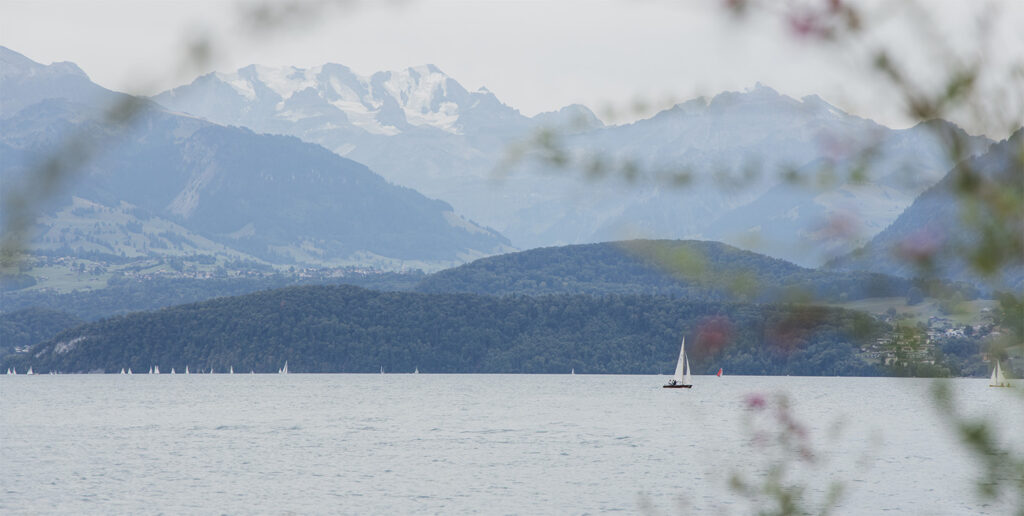 MEA_SUISSE_LAC DE THOUNE