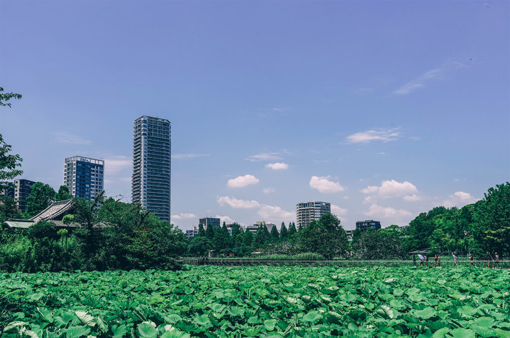 QUE FAIRE DANS LE QUARTIER DE UENO_Se ressourcer au Ueno Park_Shinobazu Pond