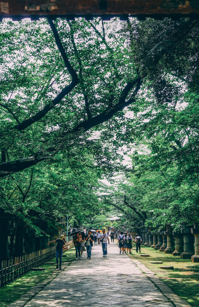 QUE FAIRE DANS LE QUARTIER DE UENO_Se ressourcer au Ueno Park 3