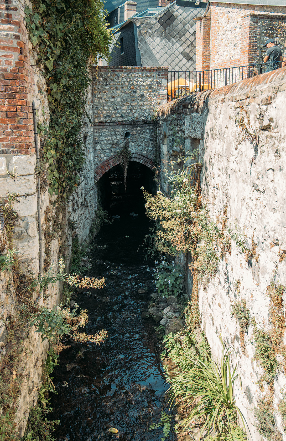Une journée à Honfleur_Le jardin du Tripot 3