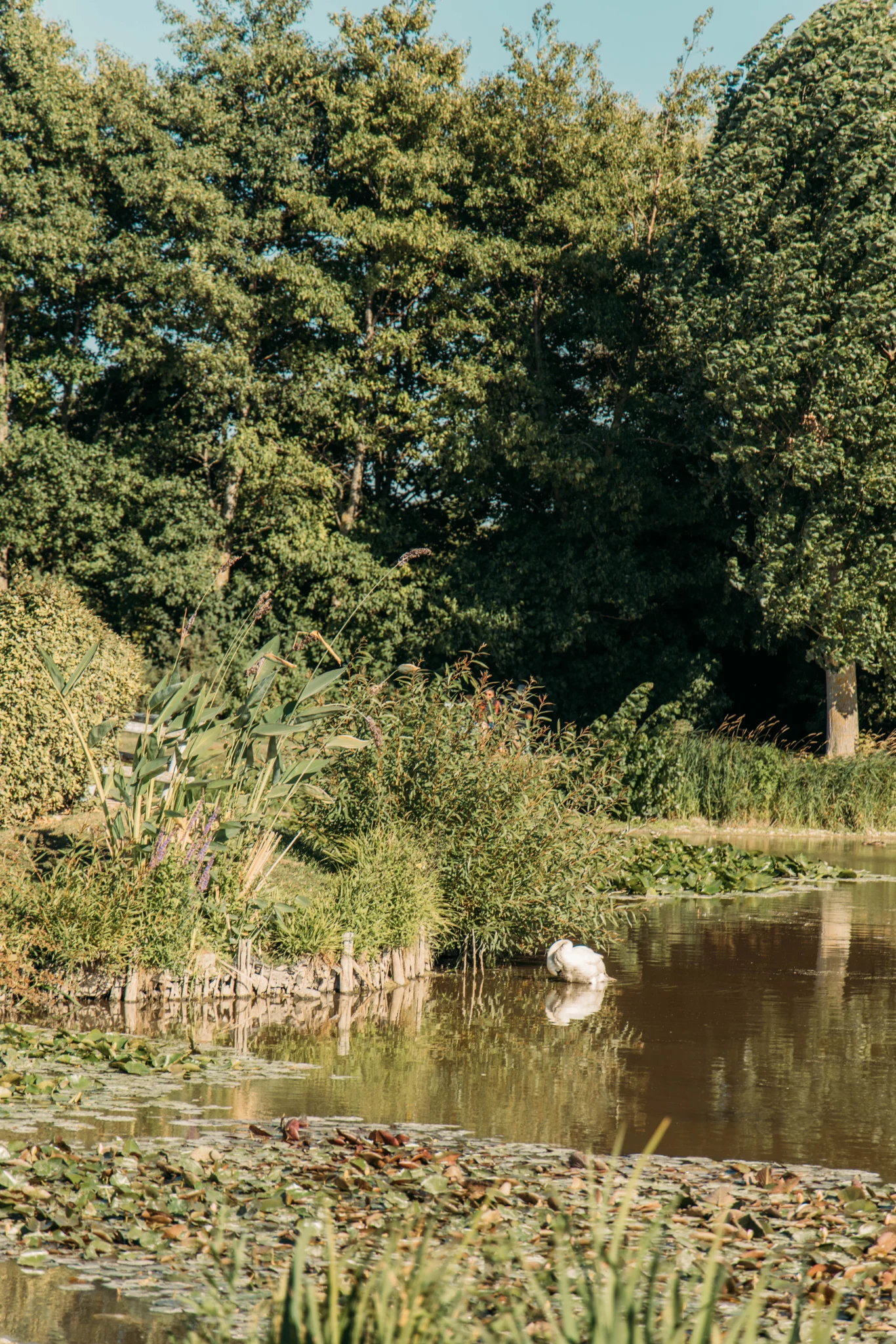Une journée à Honfleur_Le jardin des personnalités 1