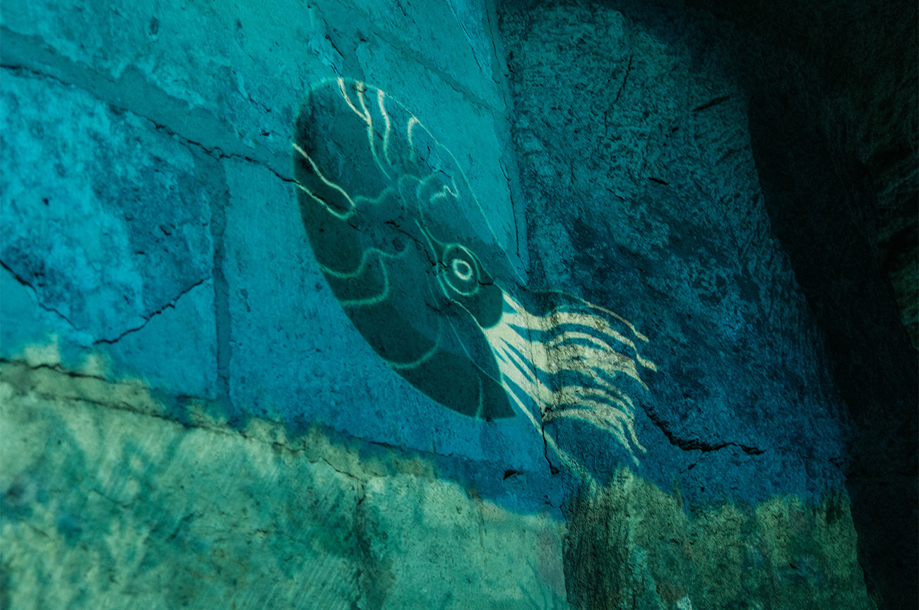 Un week-end dans l’Aisne : découverte de Laon_Les souterrains de Laon : Visite « Secrets sous la ville »
