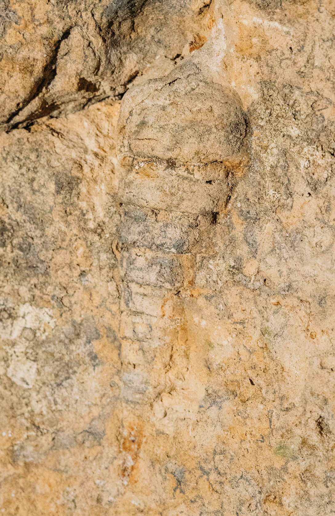 Un week-end dans l’Aisne : découverte de Laon_Les souterrains de Laon : Visite « Secrets sous la ville » 1