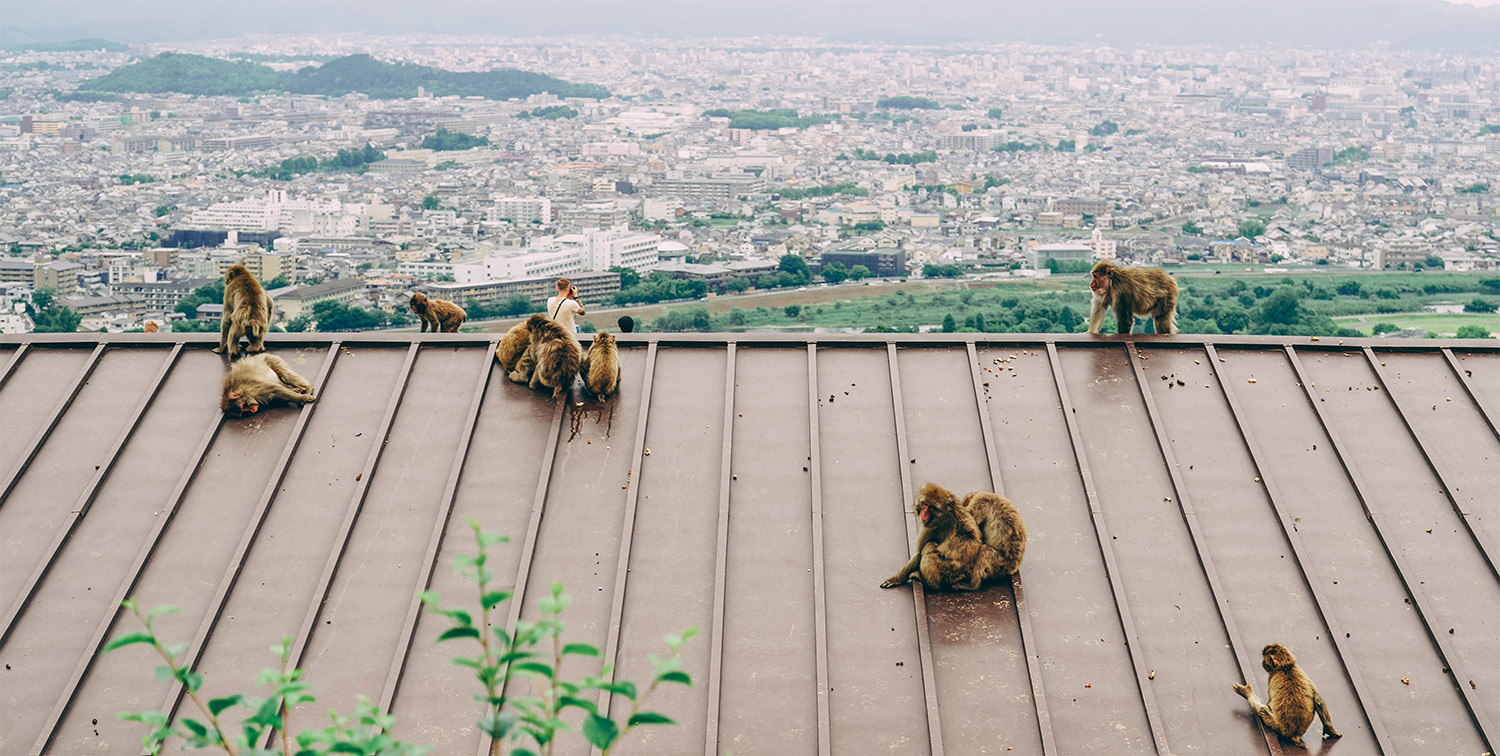 Que voir dans le quartier d’Arashiyama à Kyoto ?