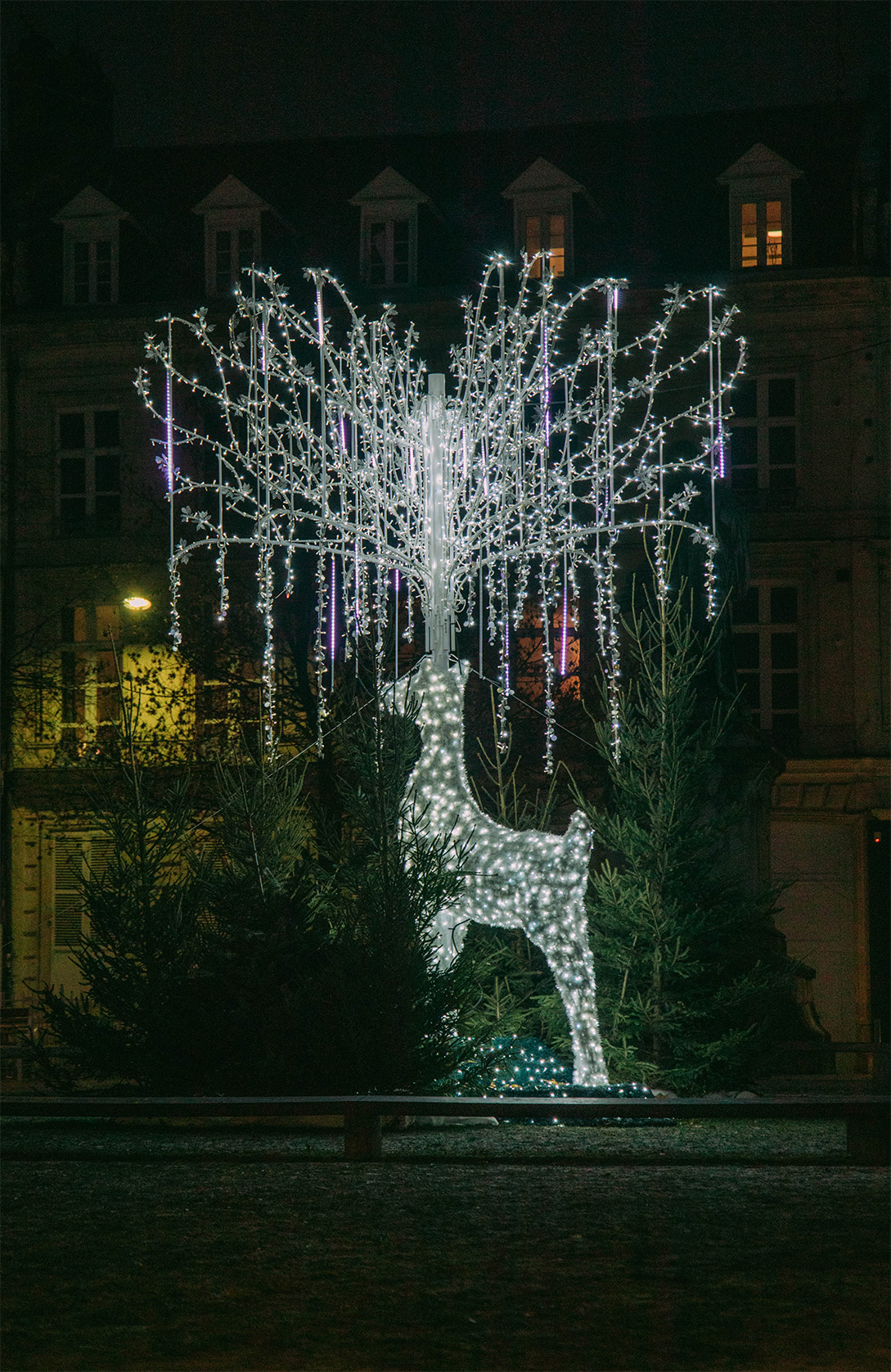 Amiens à Noël, que faire ?_Découvrir les décorations de la ville 1
