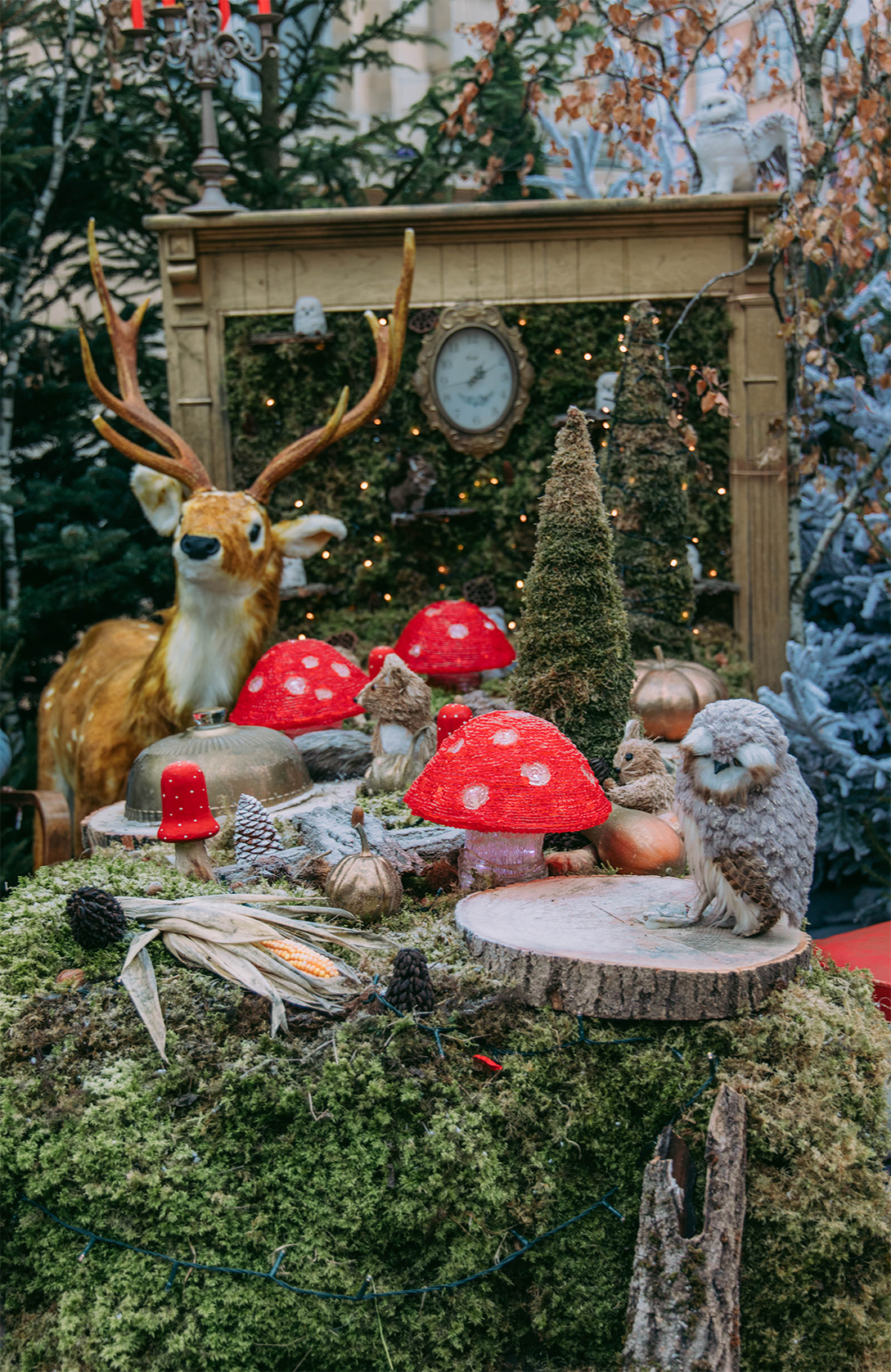 Amiens à Noël, que faire ?_Découvrir l'illumination du sapin 3