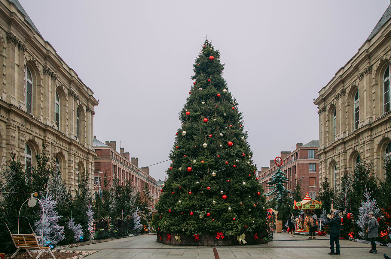 Amiens à Noël, que faire ?_Découvrir l'illumination du sapin