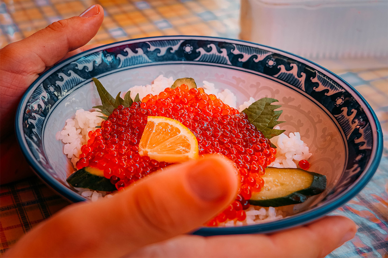 Que manger au japon, autre que des sushis et ramens_DONBURI