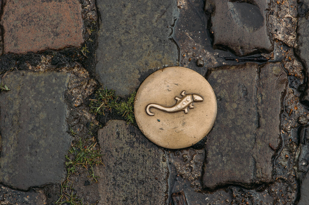 Une journée à Honfleur_Flâner dans le centre de Beauvais 2