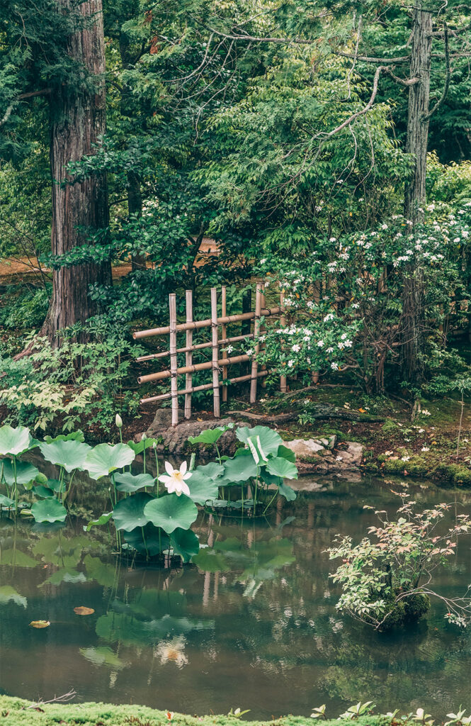 QUE FAIRE DANS LE NORD DE KYOTO_LE PAVILLON D OR 1