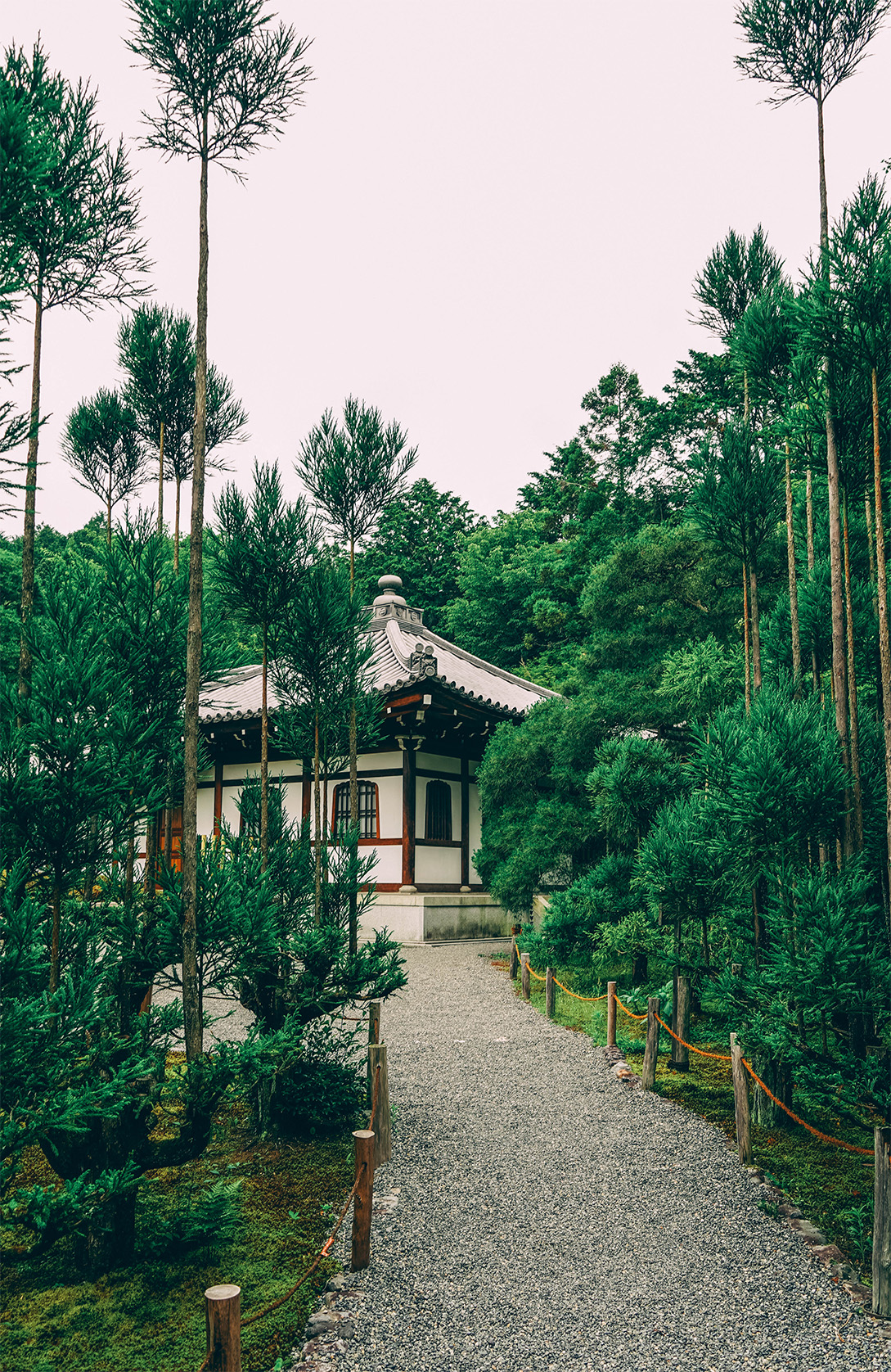 QUE FAIRE DANS LE NORD DE KYOTO_Vernir se détendre au Ryôan-ji 3