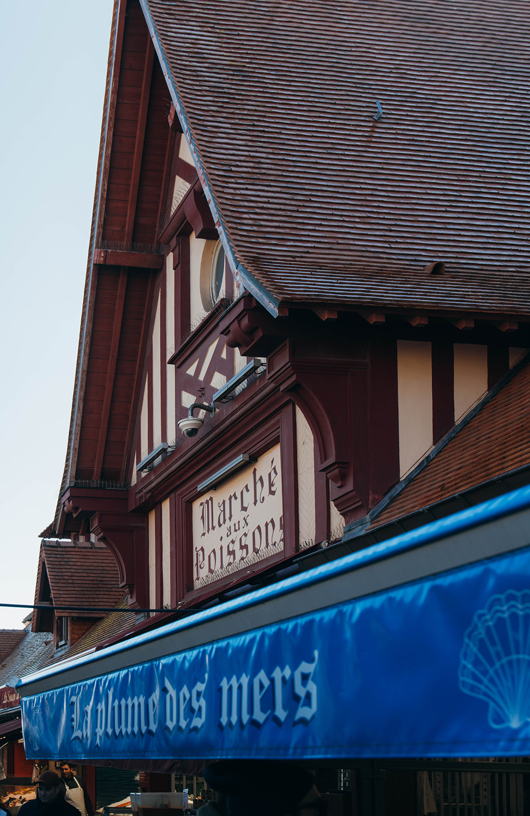TROUVILLE_A PAS DE DINO_UN WEEK END A DEAUVILLE ET TROUVILLE_HALLE POISSONS_3