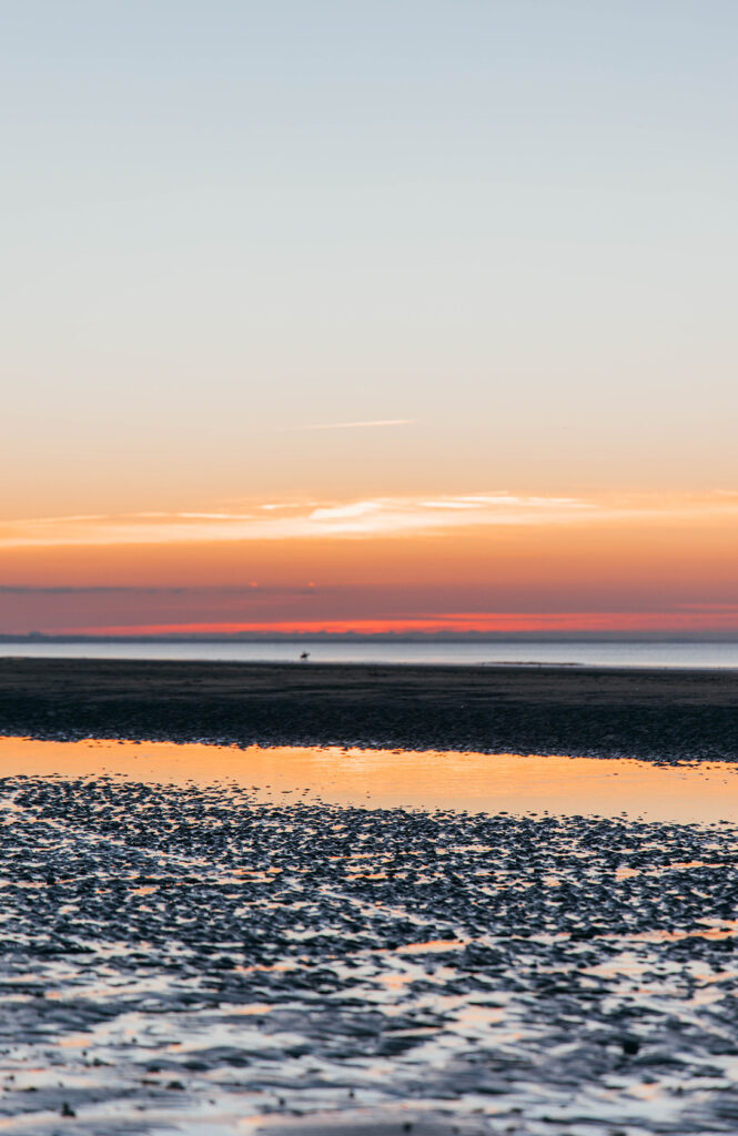 TROUVILLE_A PAS DE DINO_UN WEEK END A DEAUVILLE ET TROUVILLE_PLAGE DEAUVILLE 1