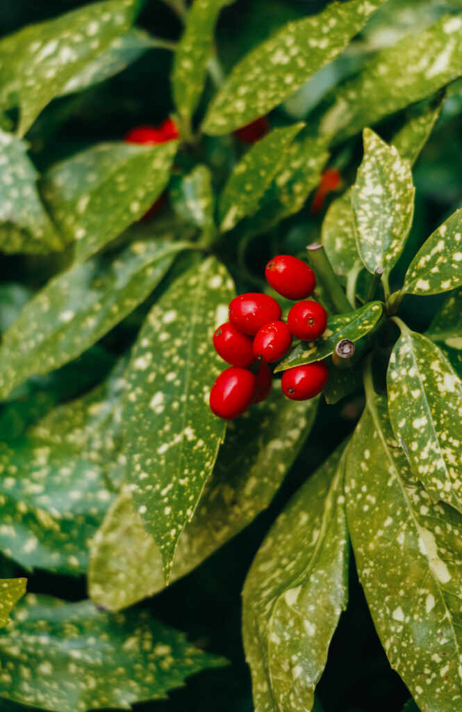 Visiter Compiègne en 1 jour_Visiter Saint-Jean-aux-Bois - village pittoresque près de Compiègne_2