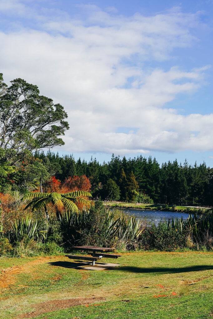 Que faire à New Plymouth en Nouvelle-Zélande ?​_OU MANGER_APASDEDINO_Admirer le lever ou coucher du soleil au lac Mangamahoe​​ 1