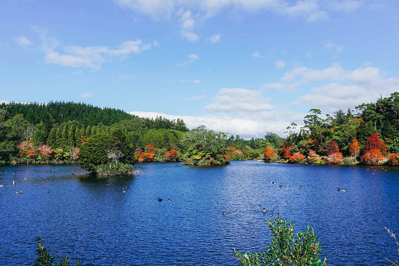 Que faire à New Plymouth en Nouvelle-Zélande ?​_OU MANGER_APASDEDINO_Admirer le lever ou coucher du soleil au lac Mangamahoe​​