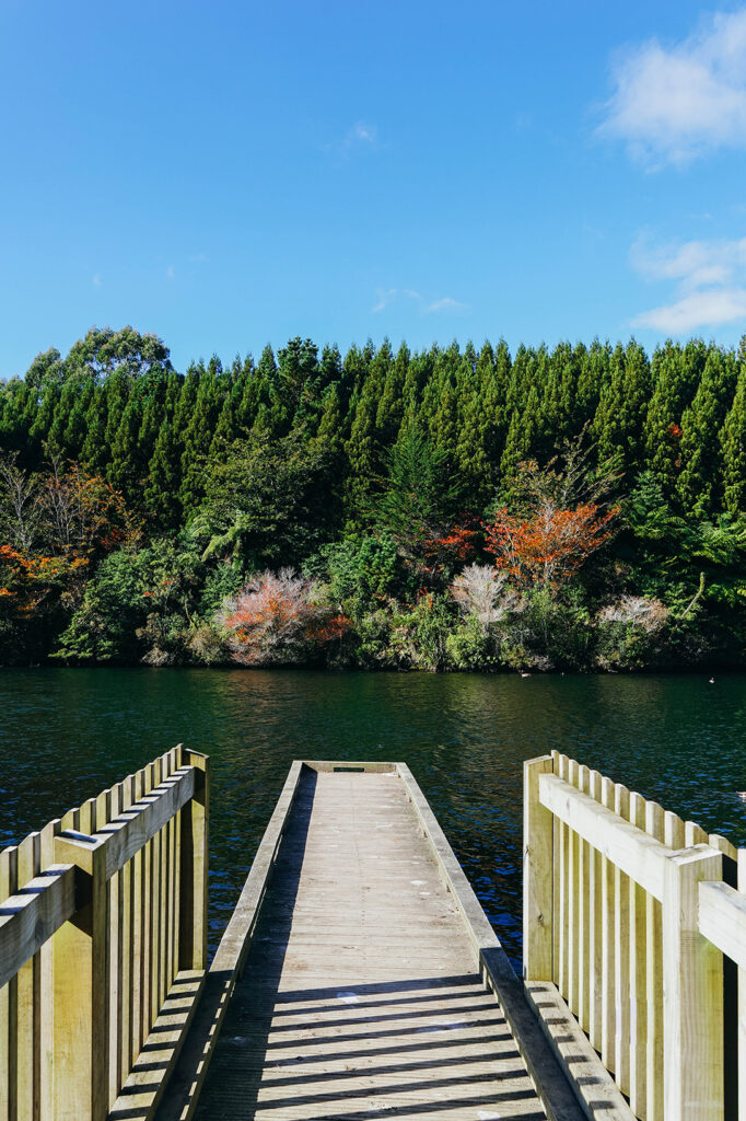 Que faire à New Plymouth en Nouvelle-Zélande ?​_OU MANGER_APASDEDINO_Admirer le lever ou coucher du soleil au lac Mangamahoe​​ 2
