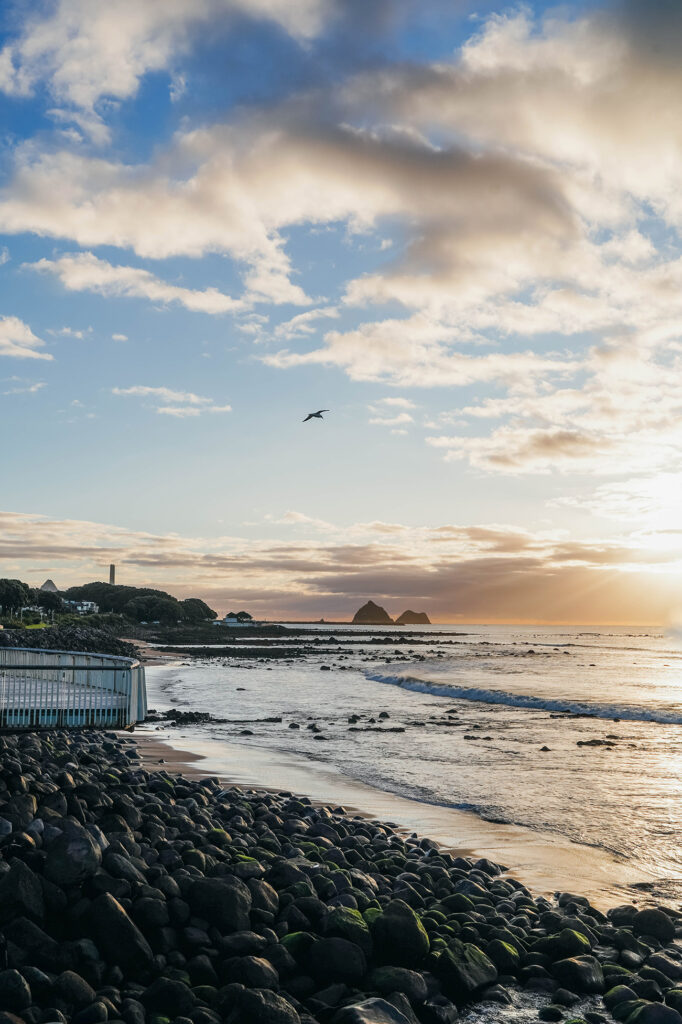 Que faire à New Plymouth en Nouvelle-Zélande ?​_OU MANGER_APASDEDINO_Se balader sur la coastal walk​_2
