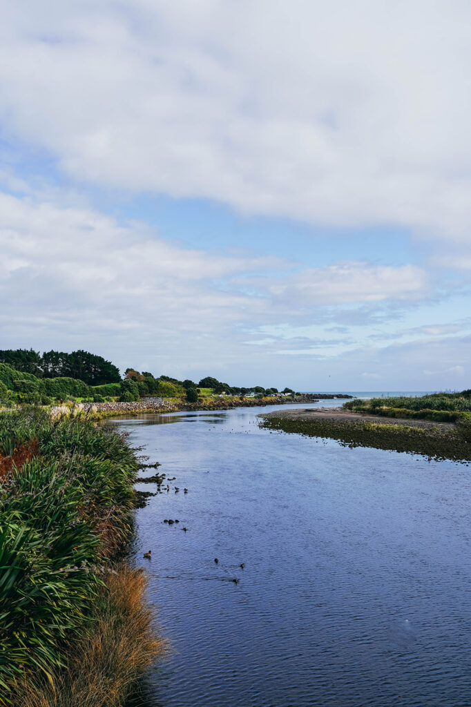 Que faire à New Plymouth en Nouvelle-Zélande ?​_OU MANGER_APASDEDINO_Te Rewa Rewa Bridge​_1