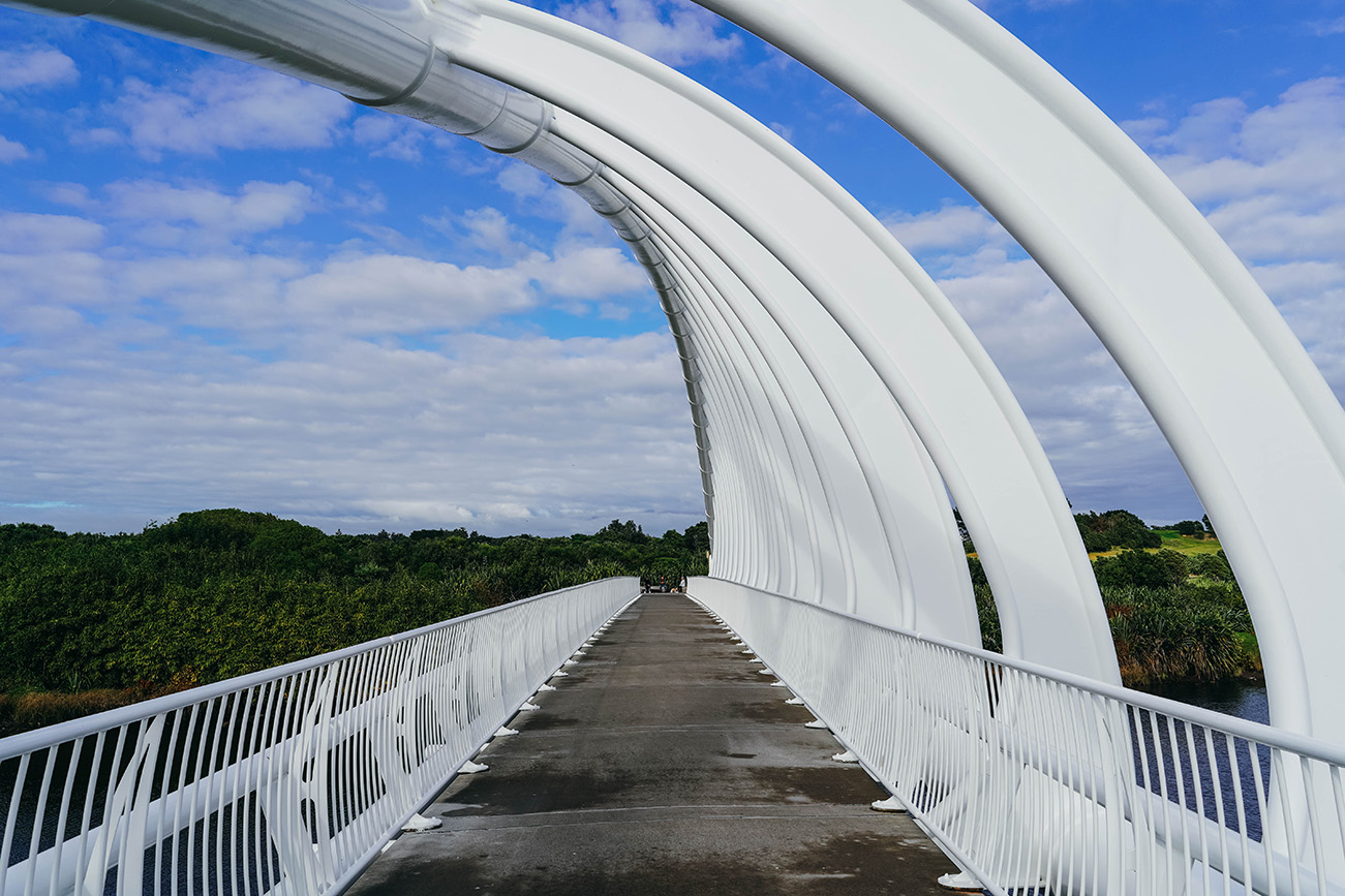 Que faire à New Plymouth en Nouvelle-Zélande ?​_OU MANGER_APASDEDINO_Te Rewa Rewa Bridge​
