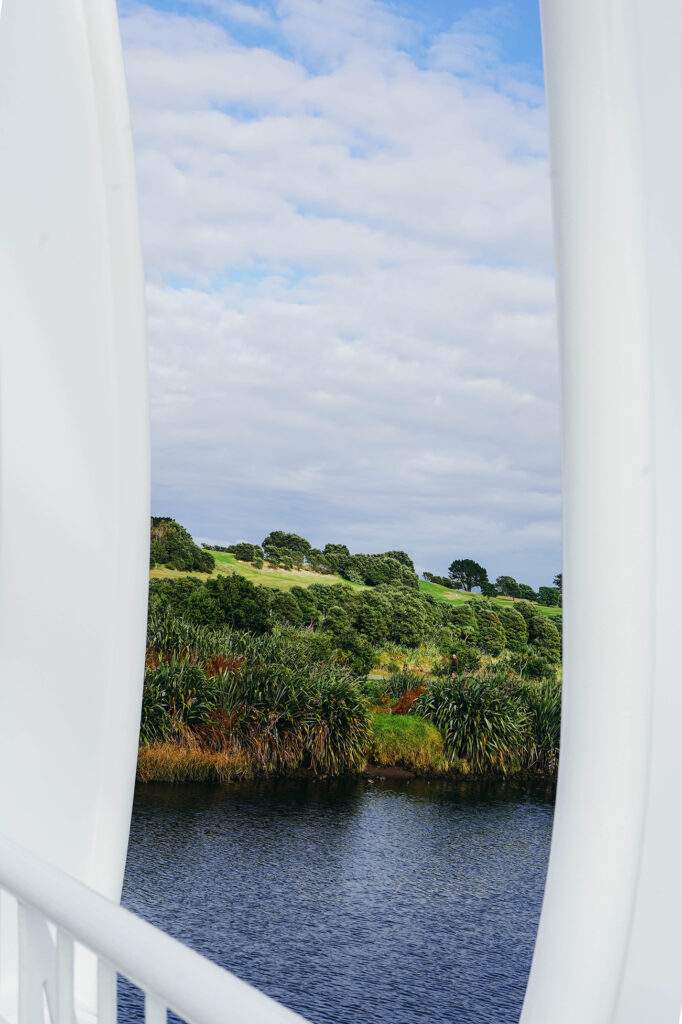 Que faire à New Plymouth en Nouvelle-Zélande ?​_OU MANGER_APASDEDINO_Te Rewa Rewa Bridge_2