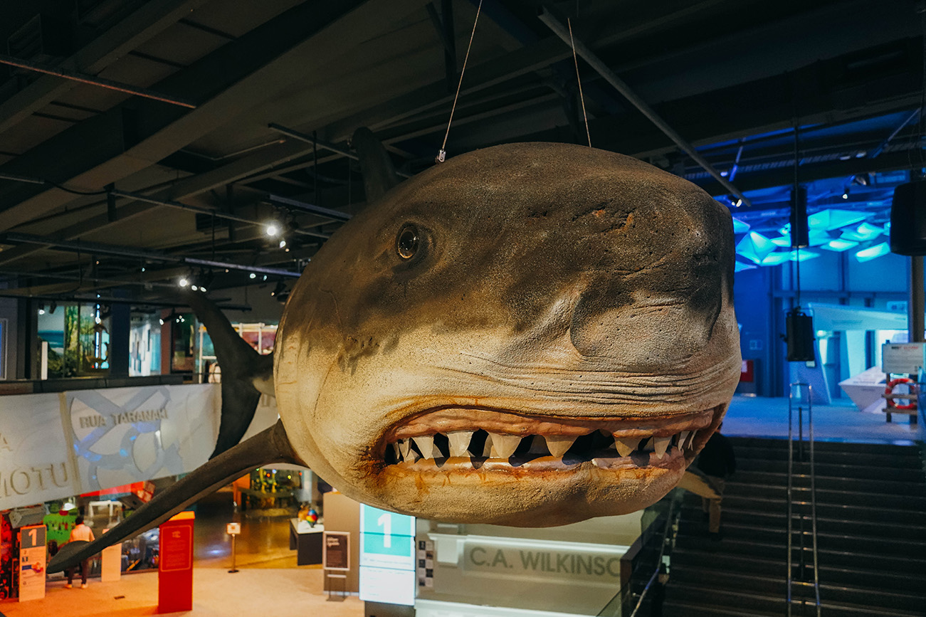 Que faire à New Plymouth en Nouvelle-Zélande ?​_OU MANGER_APASDEDINO_Puke Ariki​