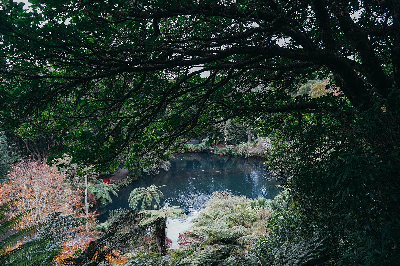 Que faire à New Plymouth en Nouvelle-Zélande ?​_OU MANGER_APASDEDINO_Flâner dans le parc de Pukekura​