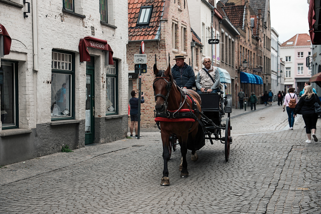 Week-end à Bruges : que faire en 3 jours ?_Prendre l'air à la place de la vigne (Wijngaardplein)​​_A PAS DE DINO_1