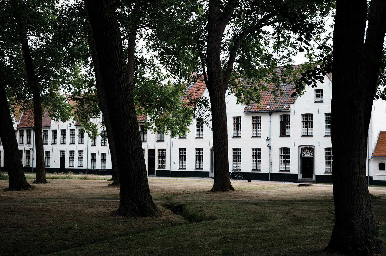 Week-end à Bruges : que faire en 3 jours ?_Se promener dans le béguinage​_A PAS DE DINO_2