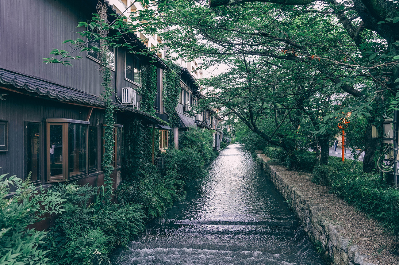 QUE FAIRE DANS LE QUARTIER DE GION_KYOTO_ Shirakawa_A PAS DE DINO